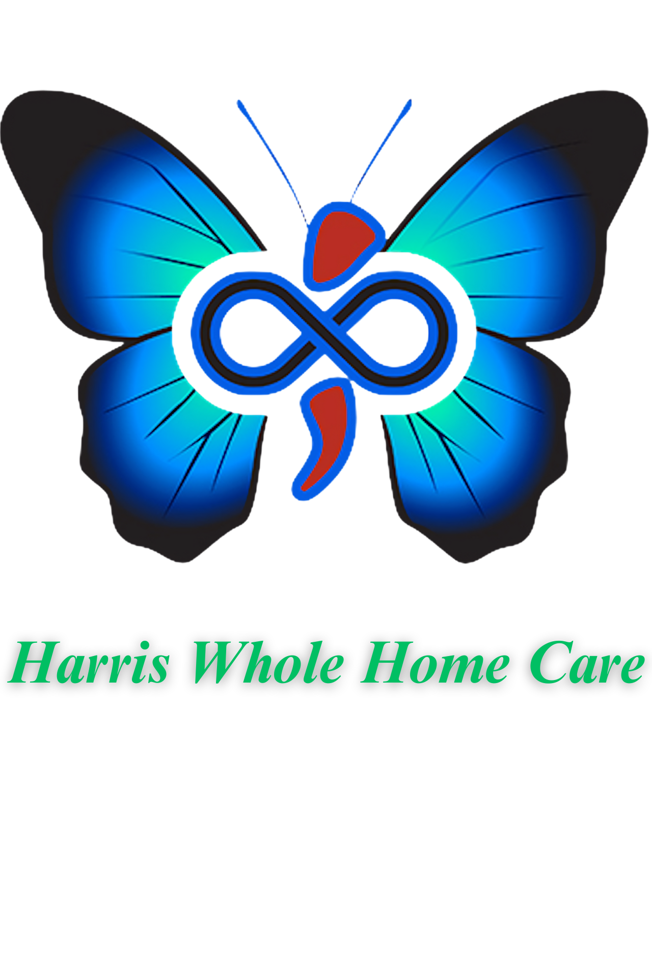 Harris Whole Home Cleaning of Houston